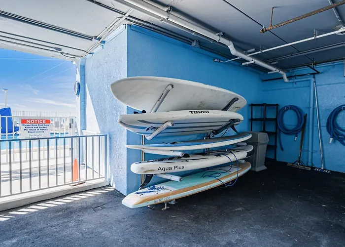 Dollar 209 Apartment